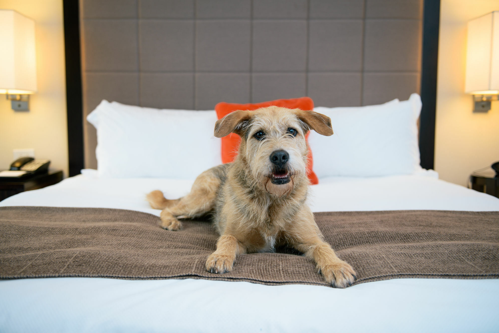 Candlewood Suites - Bluffton-Hilton Head By Ihg Kültér fotó